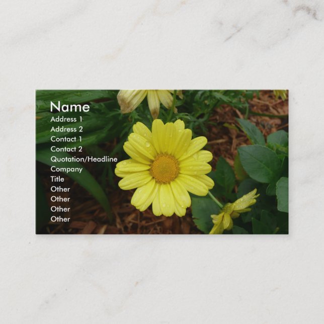 Yellow Daisy Business Card (Front)