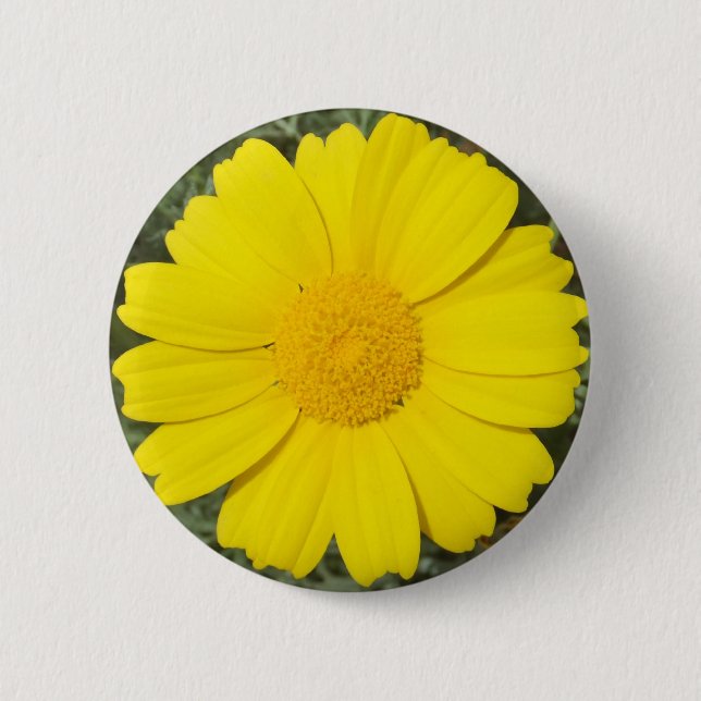 Yellow Daisy button (Front)