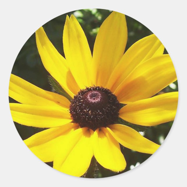 Yellow Daisy Classic Round Sticker (Front)