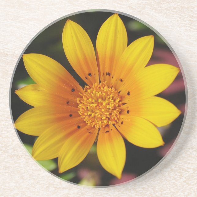 Yellow Daisy Coaster (Front)