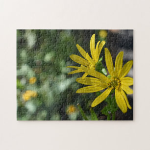 Yellow Daisy Flower Floral Nature Photography Jigsaw Puzzle