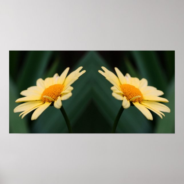 Yellow Daisy Flower Mirror Abstract Poster (Front)