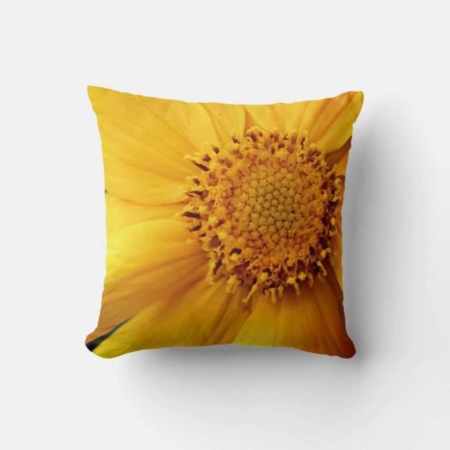 Yellow Daisy Flower Petals And Centre Close Up  Throw Pillow (Front)