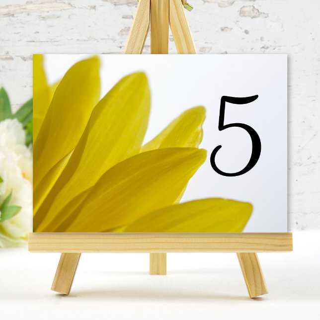 Yellow Daisy Flower Petals Table Numbers (Creator Uploaded)