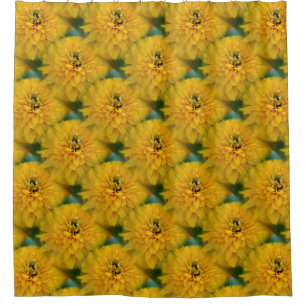 Yellow Daisy Flowers Pattern 