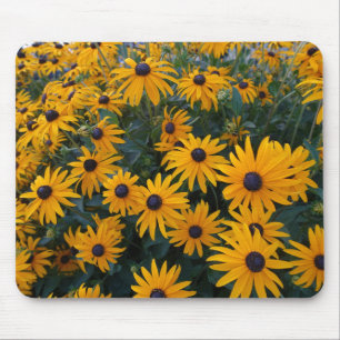 Yellow daisy garden flowers. mouse pad
