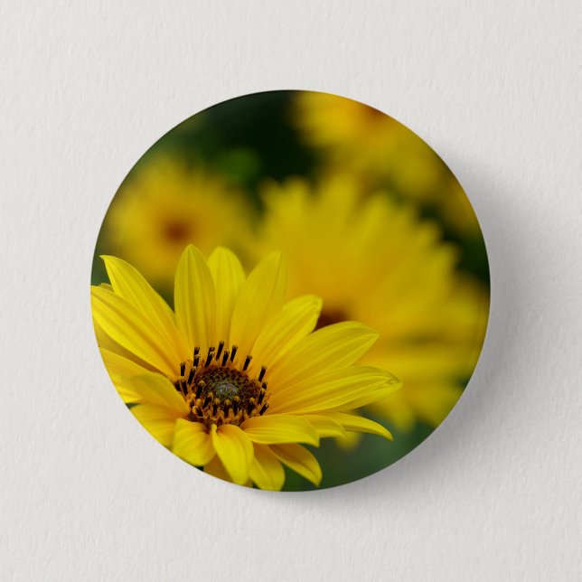 Yellow Daisy Helenium Badge 2 Inch Round Button (Front)