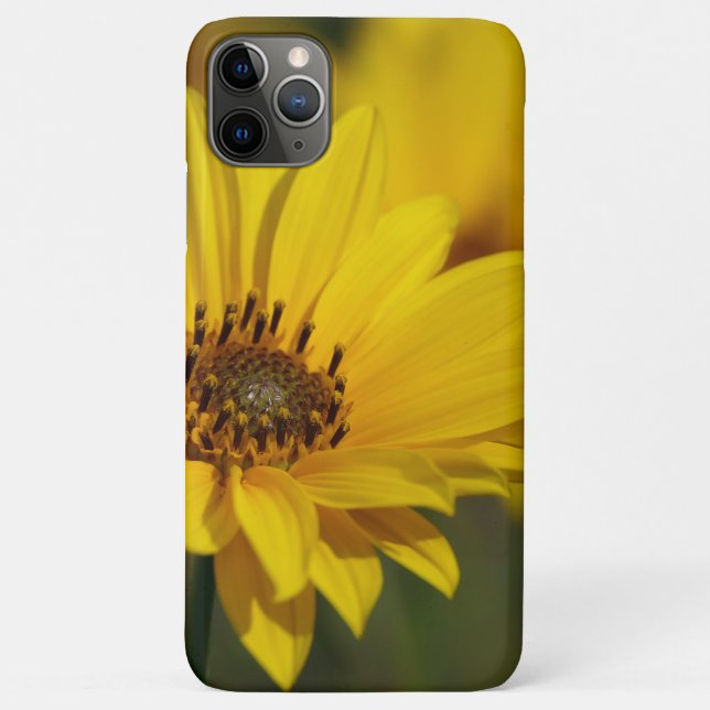 Yellow Daisy Helenium Case-Mate iPhone Case (Back)