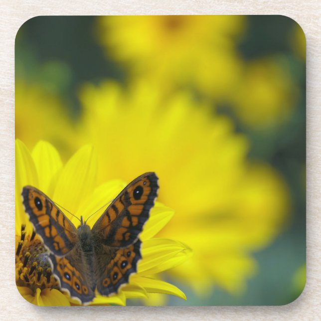Yellow Daisy Helenium Coaster (Front)