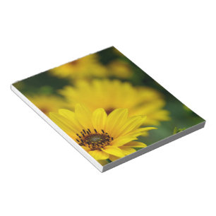 Yellow Daisy Helenium Notepad