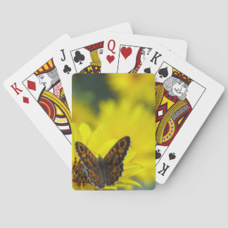 Yellow Daisy Helenium Playing Cards