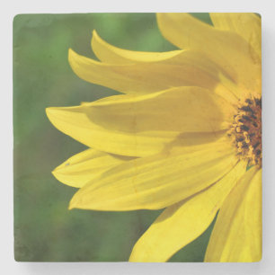 Yellow Daisy Helenium Stone Coaster