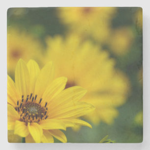 Yellow Daisy Helenium Stone Coaster