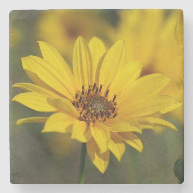 Yellow Daisy Helenium Stone Coaster (Front)