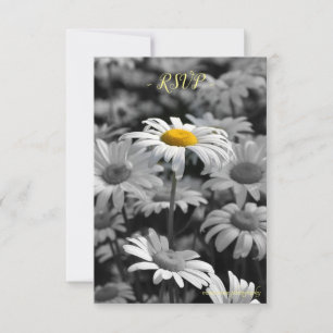 Yellow daisy in a sea of black and white daisies. RSVP card