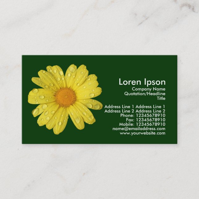 Yellow Daisy in the Rain - Dark Green Business Card (Front)