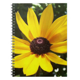 Yellow Daisy Notebook