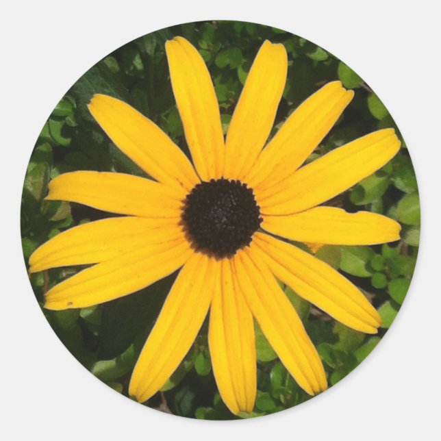 Yellow Daisy Photo Sticker (Front)