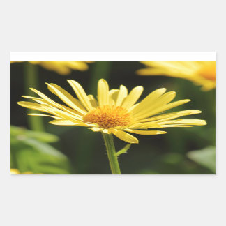 Yellow Daisy Sticker
