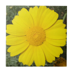 Yellow Daisy tile