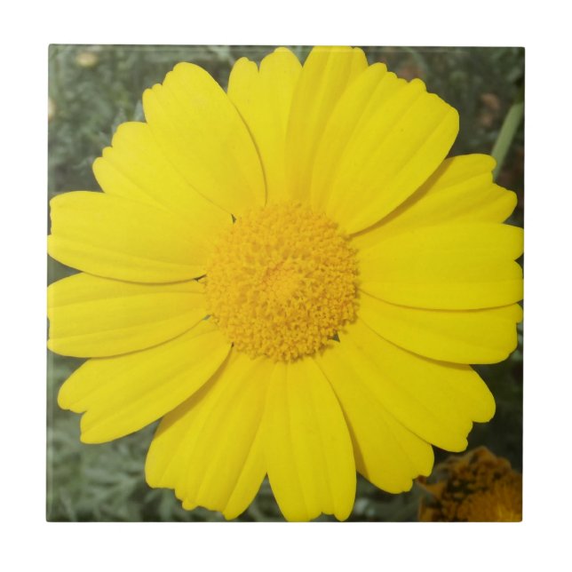 Yellow Daisy tile (Front)