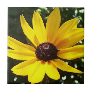 Yellow Daisy Tile