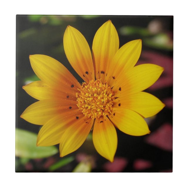 Yellow Daisy Tile (Front)