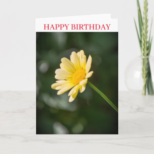 Yellow daisy up close birthday card