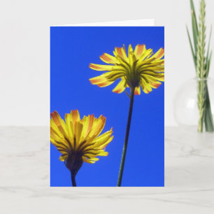 Yellow Dandelion, Blue Sky, Happy, Positive Nature Card
