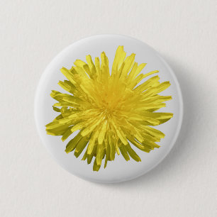 Yellow Dandelion Button