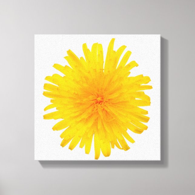 Yellow Dandelion Flower Canvas Print (Front)