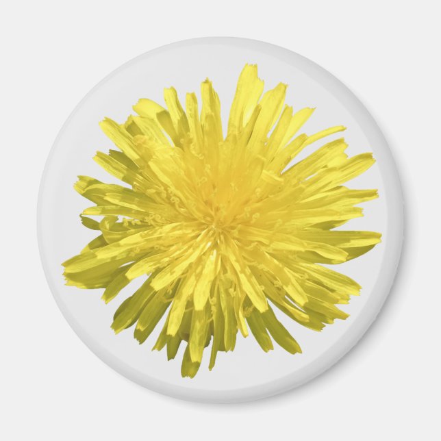 Yellow Dandelion Magnet (Front)