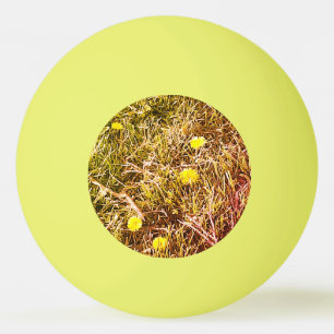 Yellow Dandelions Dart Board Ping Pong Ball