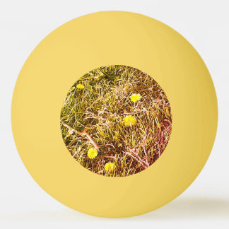 Yellow Dandelions  Dart Board Ping Pong Ball