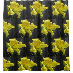 Yellow Day Lily