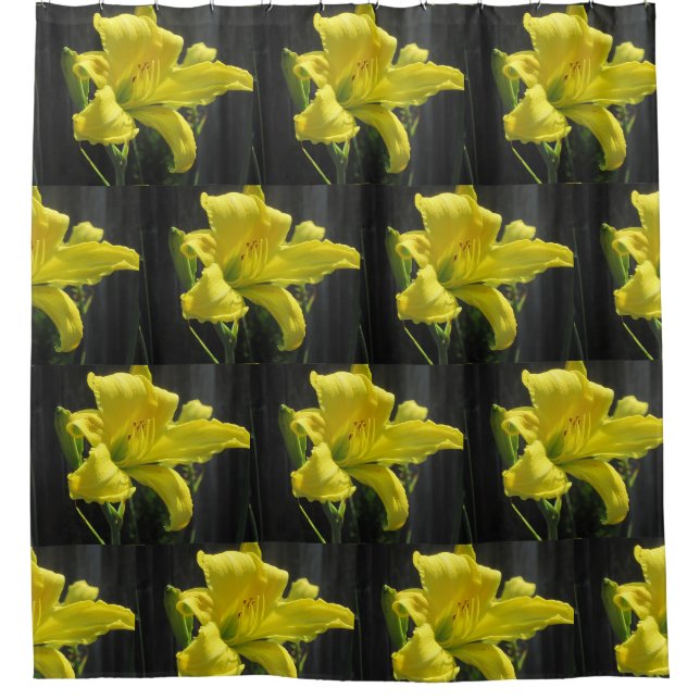 Yellow Day Lily (Front)