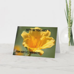 Yellow Daylily Birthday Card