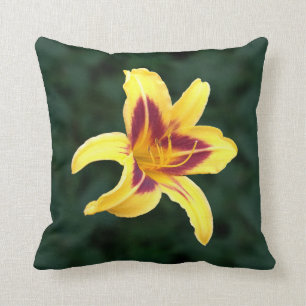 Yellow Daylily Flower with Red, Hemerocallis: Throw Pillow