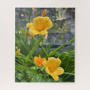 Yellow Daylily, Lake Tahoe Jigsaw Puzzle