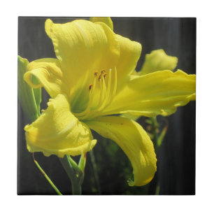 Yellow Daylily Tile