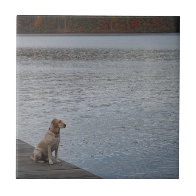 Yellow dog on dock tile (Front)