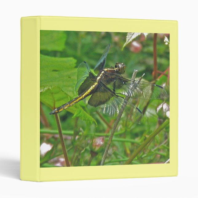 Yellow Dragonfly Binder (Front/Spine)