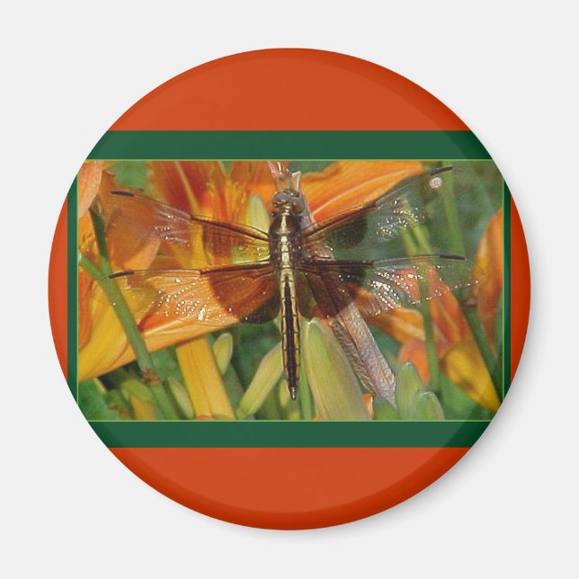 Yellow Dragonfly Magnet (Front)
