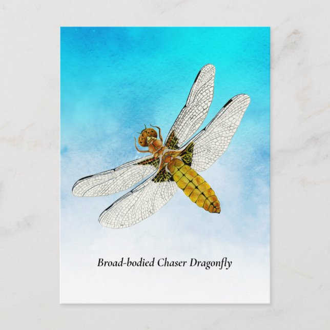 Yellow Dragonfly Watercolor Painting Postcard (Front)