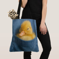 Yellow Duckling In a Blue T-shirt Pocket