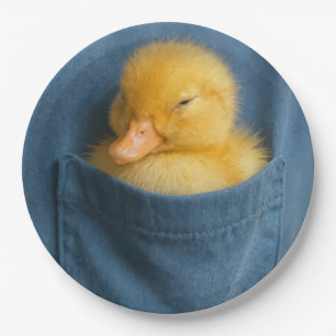 Yellow Duckling In a T-shirt Pocket Paper Plate