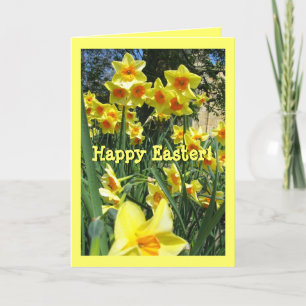 Yellow Easter Daffodil Field Custom Greeting Cards