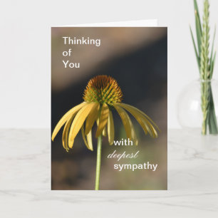 Yellow Echinacea Flower Deepest Sympathy Card