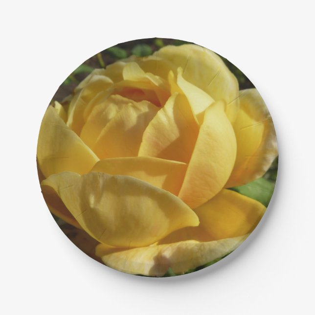 Yellow English Rose Paper Plate (Front)