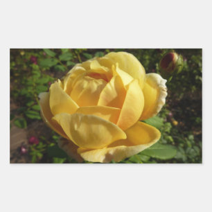 Yellow English Rose Sticker